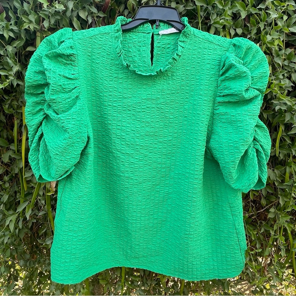 Anthropology Thml top